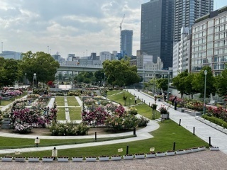 image2.jpeg