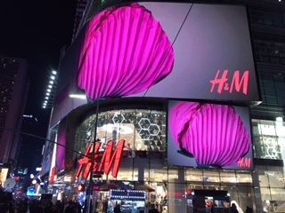 image3.JPG
