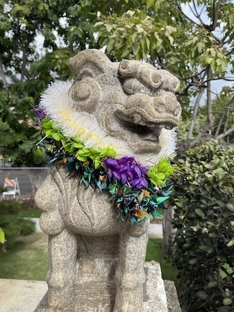 IMG_0571.jpeg