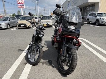 IMG_3221.jpeg