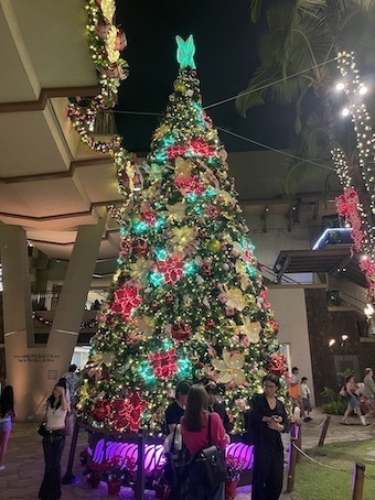 IMG_3570.jpeg