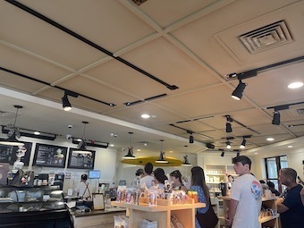 IMG_3731.jpeg