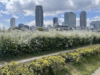 IMG_6123.jpeg