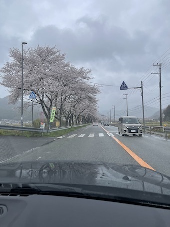 IMG_6283.jpeg
