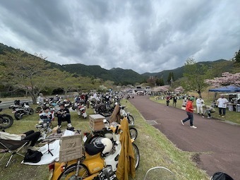 IMG_6436.jpeg