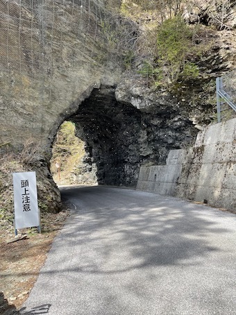IMG_6922.jpeg