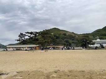 IMG_6937.jpeg