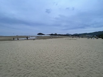 IMG_6938.jpeg
