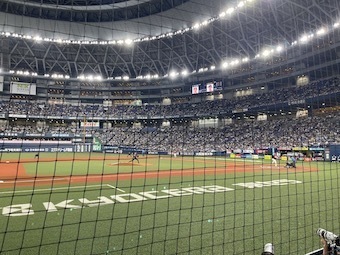IMG_7681.jpeg