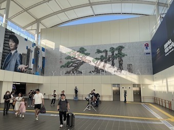 IMG_7697.jpeg